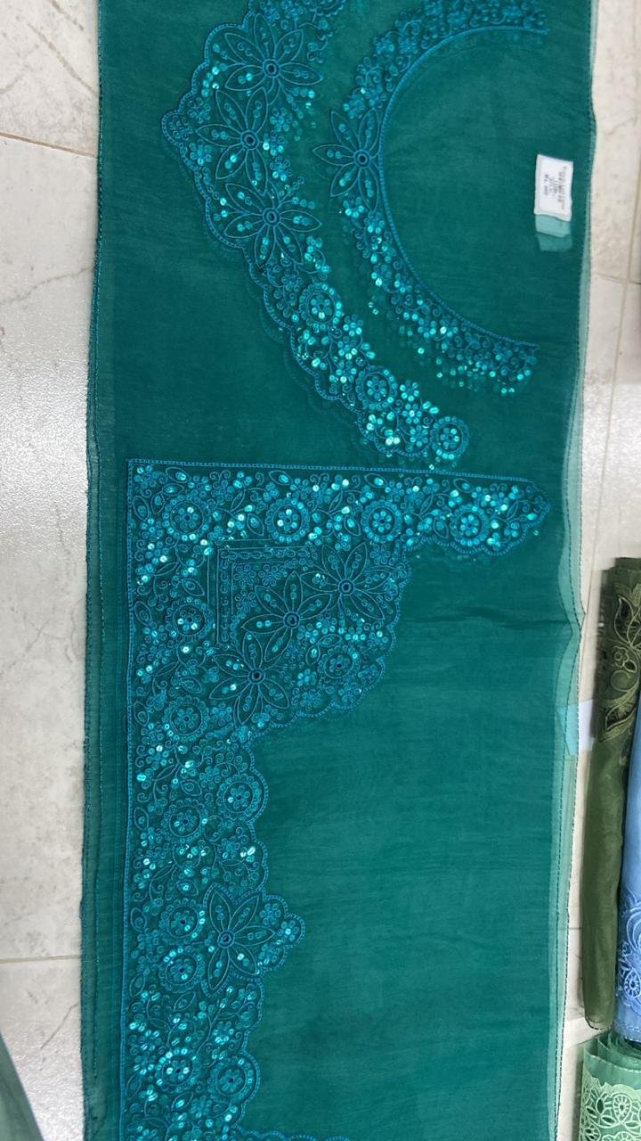 Sequence neckline with heavy sequence boarder 
